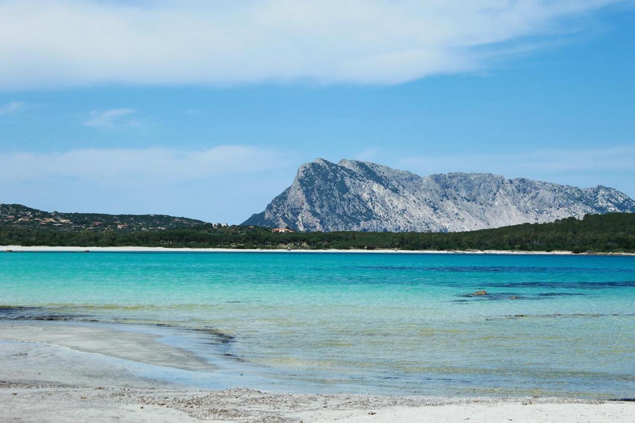 Villa La Padula San Teodoro  Esterno foto